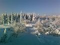 Foto-0005