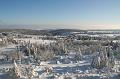 IMG_5954